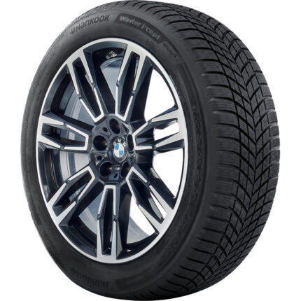 Hankook Winter I*cept Evo4 (w340)