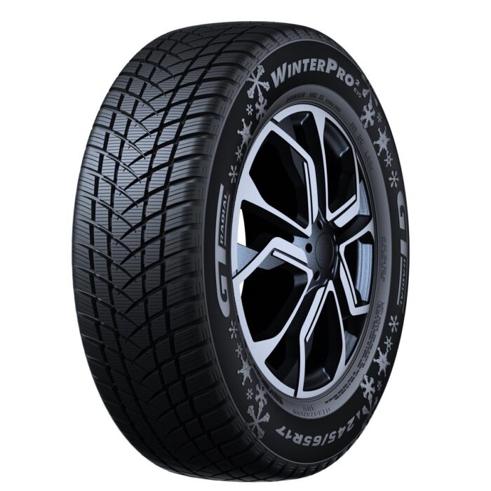 GT Radial Winterpro 2 (evo) 195/60R15 Lamell